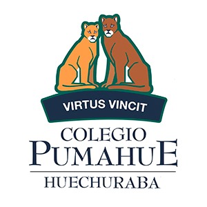 colegiopumahue